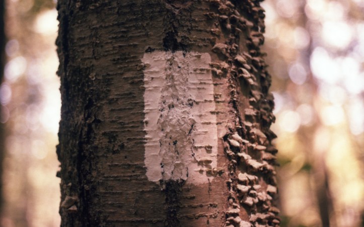 appalachian trail blaze