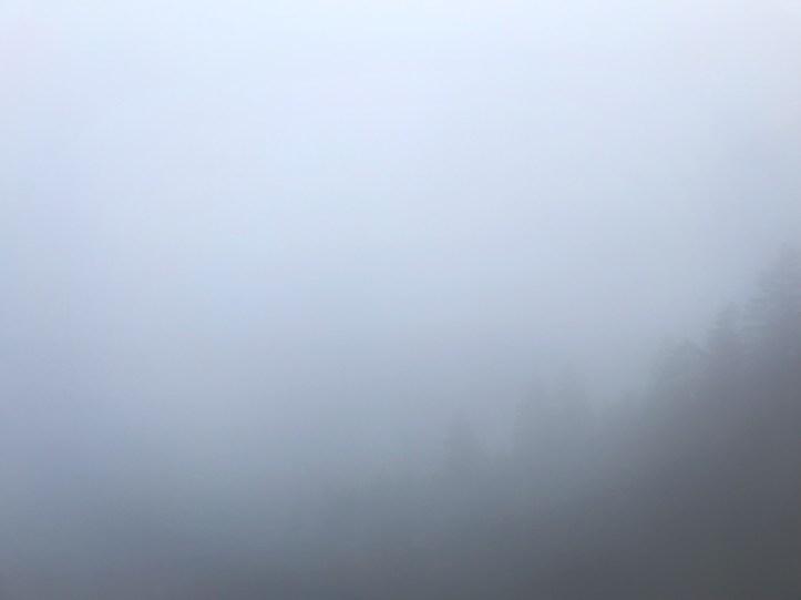 300C1C27-8B67-43ED-B0F8-826FBC35EFF3