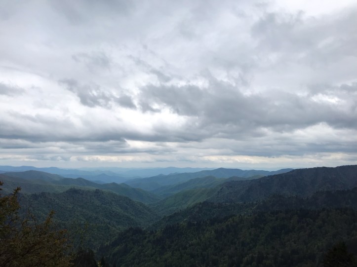 3C03B0CB-02E4-49A5-8AAD-CB86F494028F