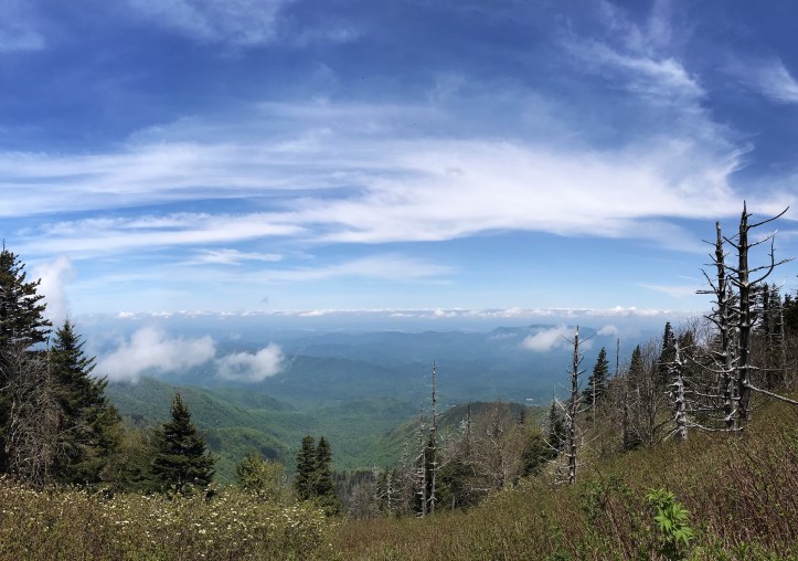 9B200186-08BF-4B92-98D8-C6C0FCCBDB22