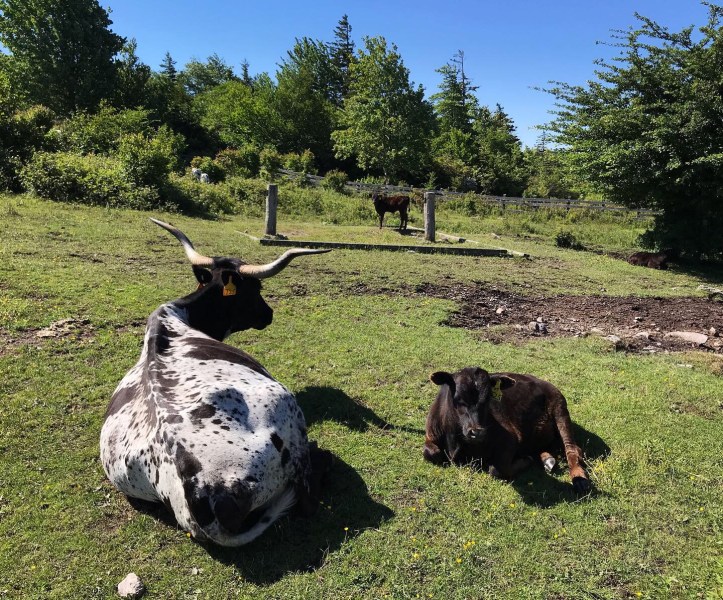 3B8BEFDE-9C1B-4972-BDAE-63F3D7542032