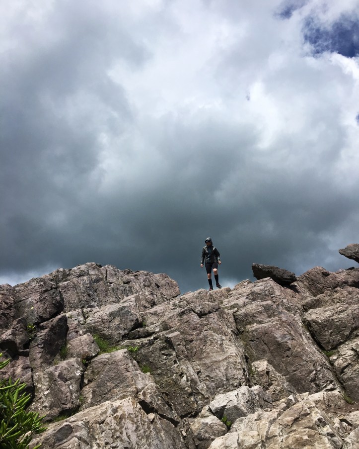 9D718347-19A0-4462-8634-6C044F63CF8E