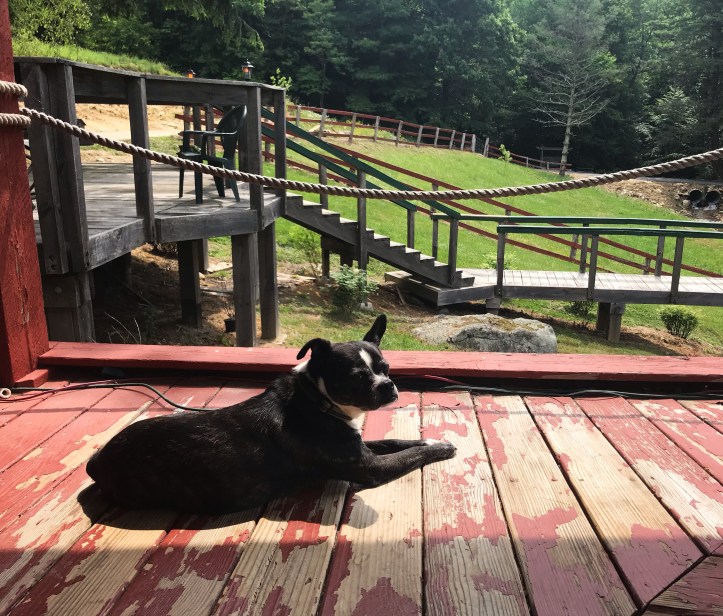 A9304B5F-1B93-47B5-88B2-7594EE85B7F1