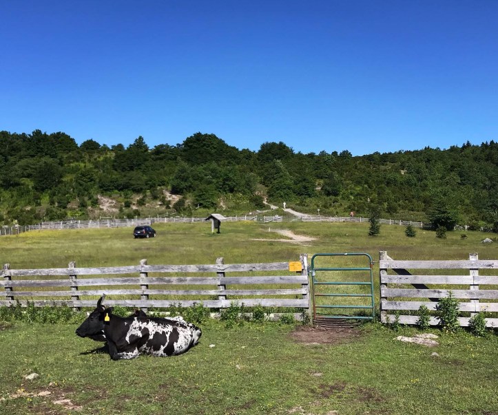 A951AB56-0DF0-4CDF-91E6-F3FE18C4DE48