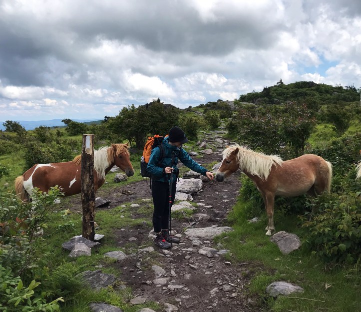 FC4A1B80-EA8C-4E9F-8703-4002015DC37D