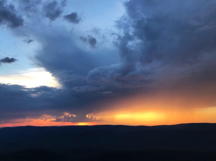 A901E830-DFC5-4919-BD3B-F99F559ABFDA